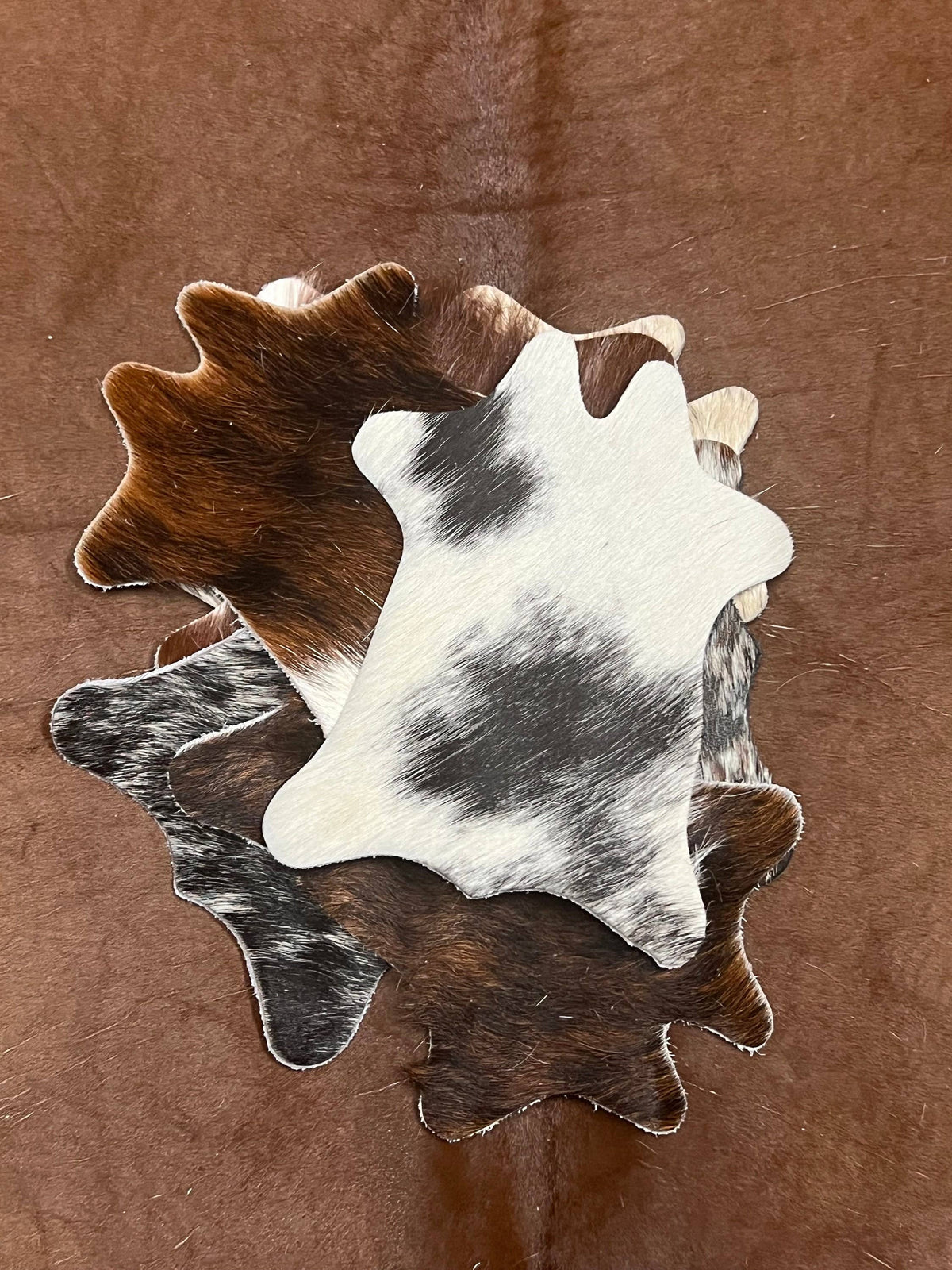 Mini Cow Cowhide Coaster
