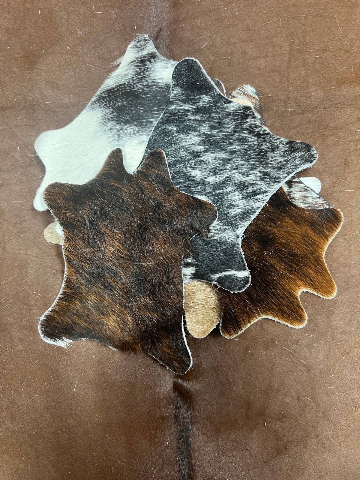 Mini Cow Cowhide Coaster