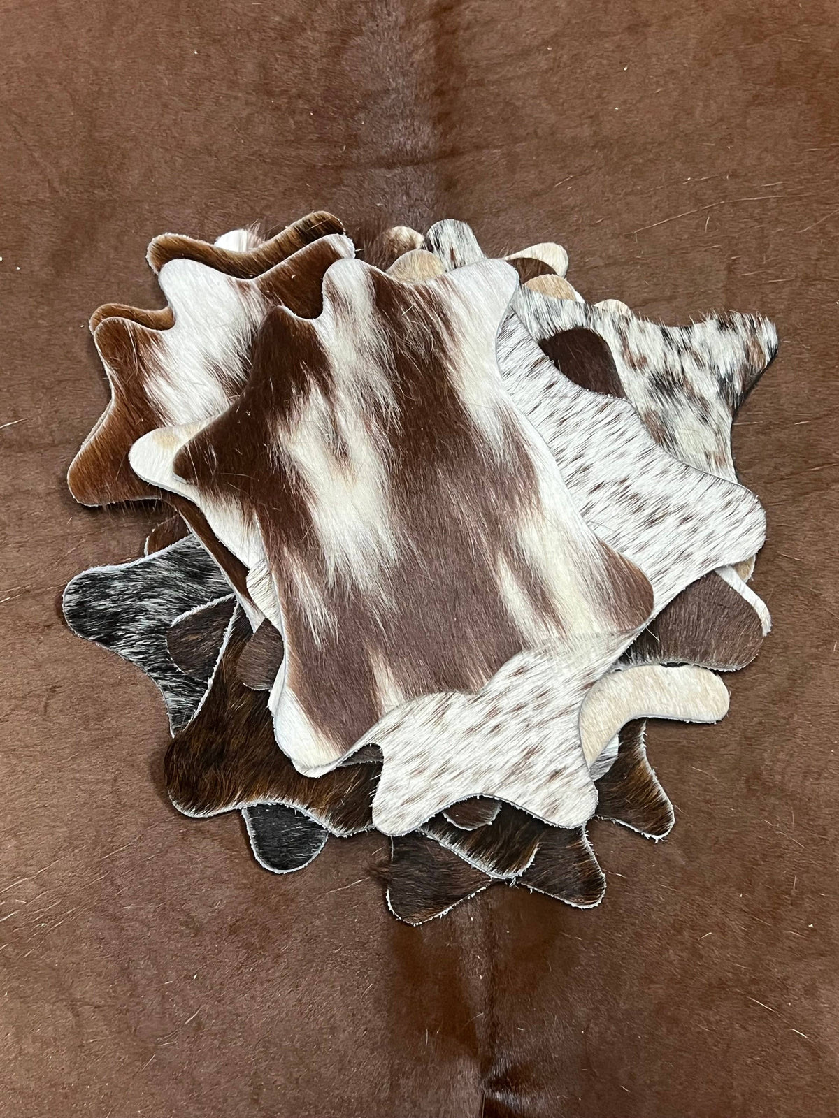 Mini Cow Cowhide Coaster