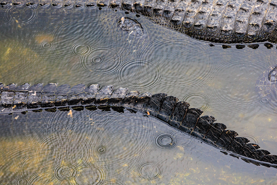 VAUGHN GATOR LEATHER
